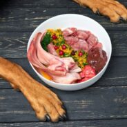 Can Dogs Eat Raw Meat?