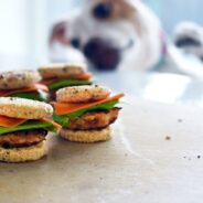 Dog Recipe: Mini Turkey Sliders