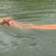 Friends Work Together to Rescue Cow Trapped in Deep Lake