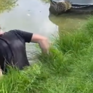 Heroic Man Jumps Into Canal To Save Drowning Baby Fox