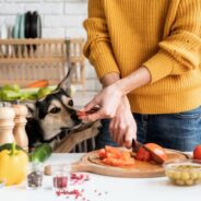 Pet Treats That Support Her Health