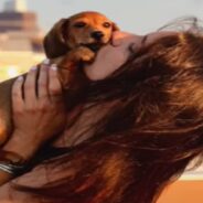 Tiny Dachshund Shows Mom His Massive Personality