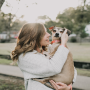 Toy Owner Creates Stuffed Animals For Grieving Pet Owners