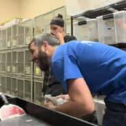 Watch How These Vet Staffs Struggle And Cry While Handling This Very Happy Parrot