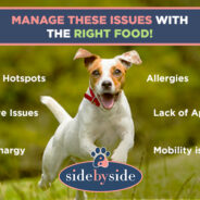 7 Canine Conditions You Can Address with a Balancing Diet