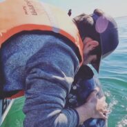 A Man and a Whale Shared a Surreal Moment with Kisses and Pets