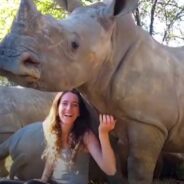 An Animal Rescuer Inspiringly Cares for Orphaned Baby Rhinos Together With Her Cat