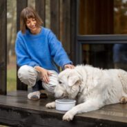 Biologically Appropriate Diets — At the Heart of Champion Petfoods