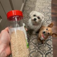 Can Dogs Eat Sesame Seeds?