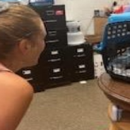 Cat Missing For 10 Years Reunites With Owner In Emotional Homecoming