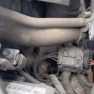 Citizens Worked Hand in Hand to Rescue a Dog Trapped Inside a Car Engine