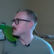 Clever Runaway Parrot Uses His Voice To Find His Way Back Home