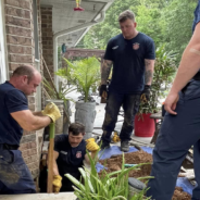 Firefighters Save One-Week-Old Puppy Trapped Under A House