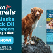 Four Reasons to Add Genuine Alaska Pollock to Your Dog’s Diet