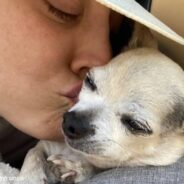 Kaley Cuoco Mourns Beloved Chihuahua “Dump Truck” With Heartfelt Post