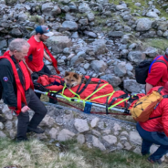 Mountain Rescuers Traverse Scafell Pike To Rescue Injured Dog