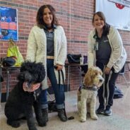 Therapy Dogs Help a Community Heal After School Tragedy