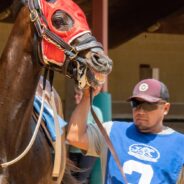 Tragedy Strikes as Seven Young Lives Lost at the Kentucky Derby