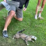 Vacationing Family Helps Cat Get Its Head Unstuck from a Metal Can