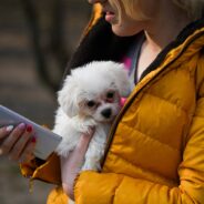 Walmart to Offer Pet Telehealth Plan to Its “Plus” Subscribers via Pawp