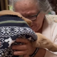 Woman Surprises Grieving Grandma With A New Puppy