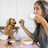 Can Dogs Have Almond Milk?