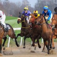 Churchill Downs Suspends Horse Racing After 12 Horse Deaths