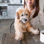 Dog Ate Coffee Grounds: What to Do