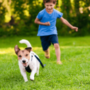 Invest in Your Pet and Yourself with Pet-Friendly Lawn Care