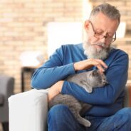 Nine Health Benefits of Having a Cat