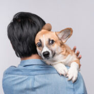 Teach Your Dog Not to Fear Loud Noises