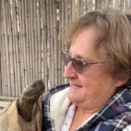 The Grow-Old-Together Type of Friendship Between a Woman and Her Loving Tortoise