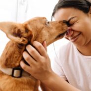 Understanding Your Dog’s Body Language