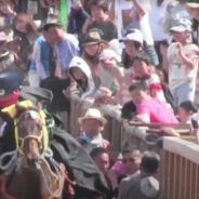 Calls for End to Animal Cruelty Follow Outrage as Horse Dies at Ageuma Shinji Festival