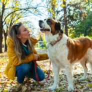 Choosing an Animal Communicator for Your Dog or Cat