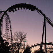 Duck Sneaks Onto Roller Coaster Going 93 MPH