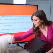 Hilarious Compilation Video Shows Cats Interrupting Work-From-Home News Reporters