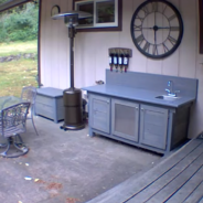 House Cat Protects Home From Bobcat And Chases Her Off