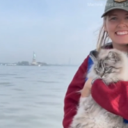 Roger The Boat Cat Learns How To Swim