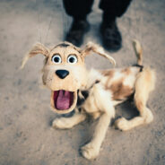 Adorable Video Of A Woman Surprising Her BF With A Puppy Ends With An Unexpected Twist