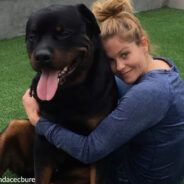 Candace Cameron Bure Heartbroken Over Death Of Beloved Rottweiler, Boris