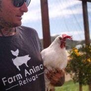 ‘Curious, Fun, Loving’ Hen Rescued From Factory Farm is Now Living Peaceful Life at Refuge