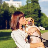 Does your animal organization need more foster caregivers? These 6 questions can help