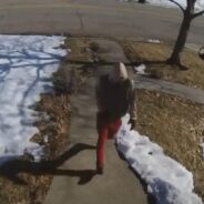 Family Dog ‘Scared of Everything’ Goes after Porch Pirate