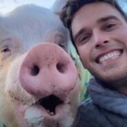 He Thought She Was a Micro Pig But He Ended up with a 600 Pound Behemoth