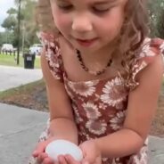 How a Little Girl Became a Mother to Three Ducks