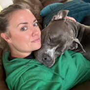 Humans Let This Deaf Pittie Down So Many Times, But He’s Still the Most Lovable Goofball