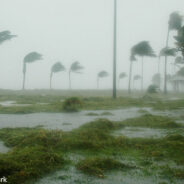 Hurricane Idalia Makes Historic Landfall in Florida Wednesday Morning As Category 3 Storm