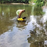 Dog That Can’t Walk Makes Up for That with Her Love of Swimming