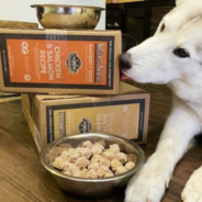 How to Get All the Benefits of Raw Food for Dogs with None of the Mess